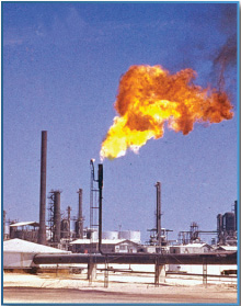 Fossil Fuels - photo 6