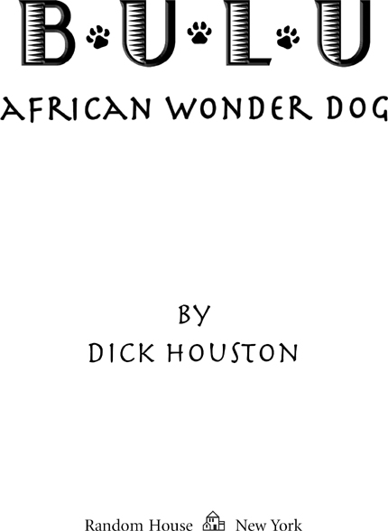 Bulu African Wonder Dog - image 3