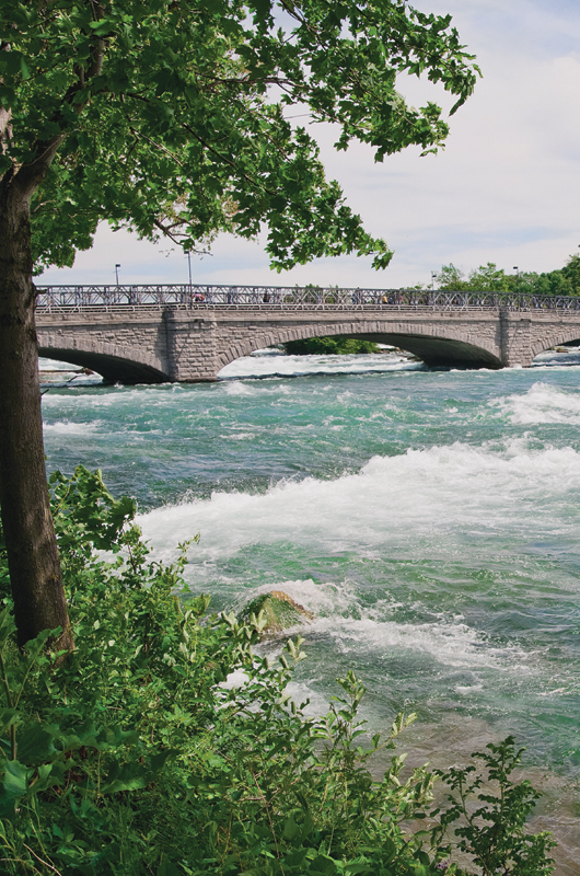 Image Credit Shutterstock A view of the Niagara River from the New York side - photo 2