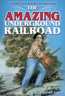 Kem Knapp Sawyer The Amazing Underground Railroad. Stories in American History