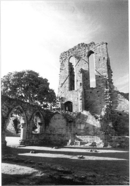 Abbeys Monasteries and Priories Explained Britains Living History - image 6