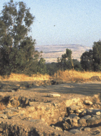 John McRay Importance of the Find Bethsaida was the birthplace of Peter - photo 5