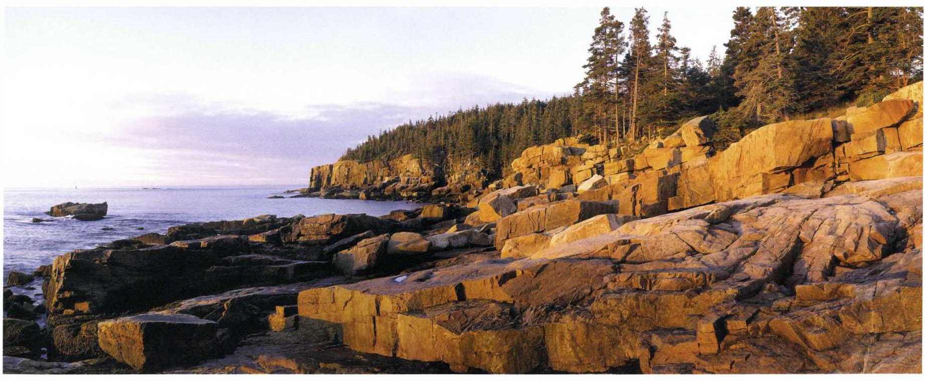 ACADIA PANORAMA Introduction Anticipation Id never seen anything quite like it - photo 4