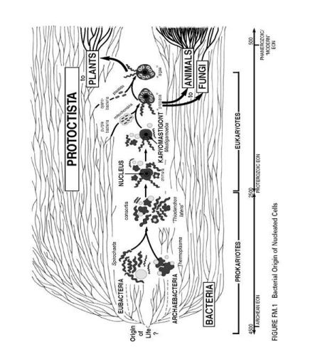 Bacterial Origin of Nucleated Cells Any one whose disposition leads him to - photo 3