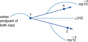 Two rays or line segments are the sides of each angle To name an angle use - photo 9