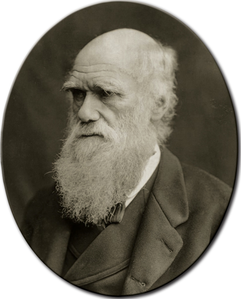 Charles Darwin Henry GuttmannHulton ArchiveGetty Images Darwins - photo 7