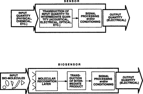 Figure 11 Sensor principles Top Schematic diagram of a sensor that produces - photo 3