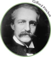 1898 Gifford Pinchot is named head of the Division of Forestry 1905 The - photo 9