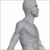 Bone and Muscle Structure Force and Motion - photo 2