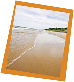 When a plant called marram grass begins to grow in the sand the dunes grow - photo 16