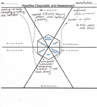 Acceptance and Commitment Therapy for Eating Disorders A Process-Focused Guide to Treating Anorexia and Bulimia - photo 2