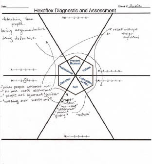 Acceptance and Commitment Therapy for Eating Disorders A Process-Focused Guide to Treating Anorexia and Bulimia - photo 3