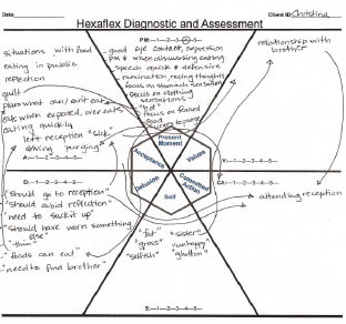 Acceptance and Commitment Therapy for Eating Disorders A Process-Focused Guide to Treating Anorexia and Bulimia - photo 5