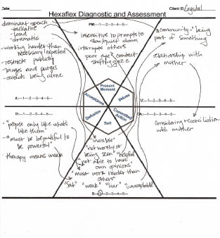 Acceptance and Commitment Therapy for Eating Disorders A Process-Focused Guide to Treating Anorexia and Bulimia - photo 6