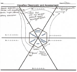 Acceptance and Commitment Therapy for Eating Disorders A Process-Focused Guide to Treating Anorexia and Bulimia - photo 7