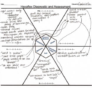 Acceptance and Commitment Therapy for Eating Disorders A Process-Focused Guide to Treating Anorexia and Bulimia - photo 8