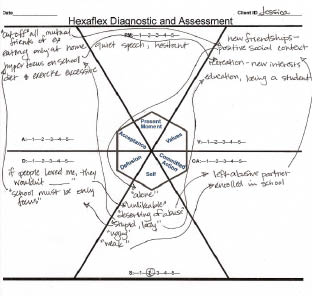 Acceptance and Commitment Therapy for Eating Disorders A Process-Focused Guide to Treating Anorexia and Bulimia - photo 9