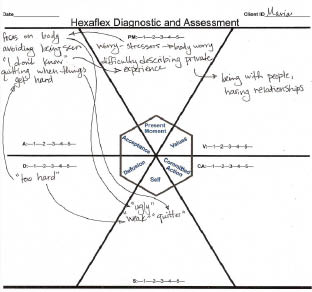 Acceptance and Commitment Therapy for Eating Disorders A Process-Focused Guide to Treating Anorexia and Bulimia - photo 13