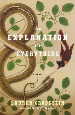 Lauren Grodstein - The Explanation for Everything