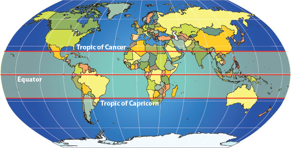 Tropical rainforests are located near the equator between the Tropic of Cancer - photo 4