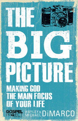 Hayley DiMarco Big Picture. Making God the Main Focus of Your Life