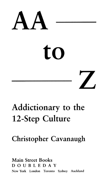 AA to Z An Addictionary of the 12-Step Culture - image 2