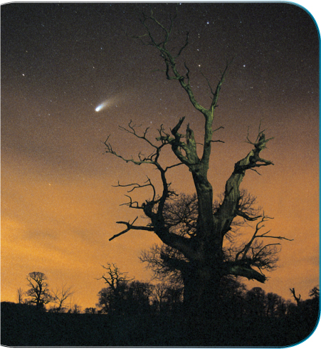 Comet Hale-Bopp Jamie CooperSSPL via Getty Images The trails of light called - photo 9