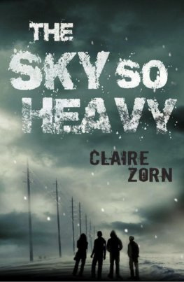 Claire Zorn - The Sky So Heavy