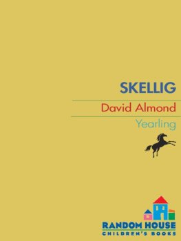 David Almond Skellig