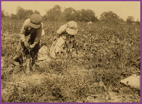 Image Credit Library of Congress Prints and Photographs Image Credit - photo 8