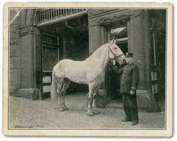 Eugene Short with Goliath Postcard from collection of Gary Frederick On a - photo 2