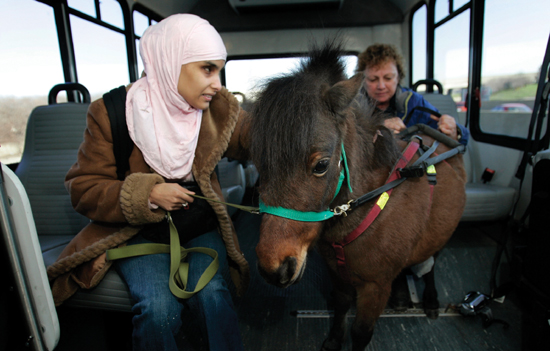 Image Credit Carlos Osorio Instead of using guide dogs some blind people use - photo 7