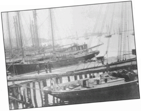 The Lunenburg fishing fleet at the docks A Family of Fishermen Angus - photo 16