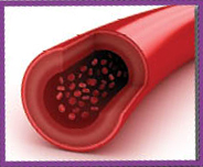 Image Credit Shutterstockcom vesselA tube that carries blood throughout the - photo 5