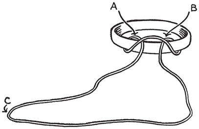 EFFECT One end of a looped string is passed by the performer through a ring - photo 4