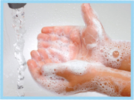 Image Credit Shutterstockcom Wash your hands before you start Make sure to - photo 3