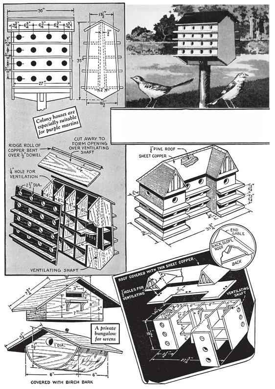 H ERE are several designs for bird houses that should meet the requirements of - photo 4