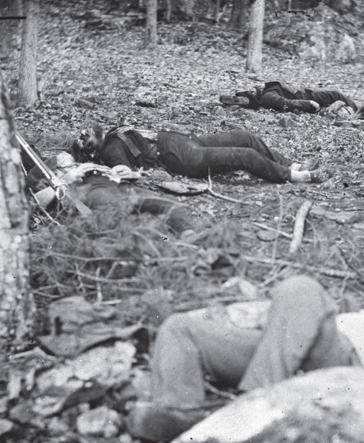 Image Credit Library of Congress Prints and Photographs Joshua Chamberlain - photo 2