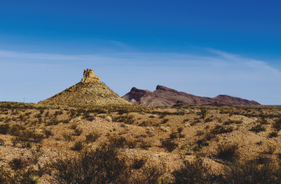 Image Credit Shutterstock Although seemingly empty to the first whie settlers - photo 3