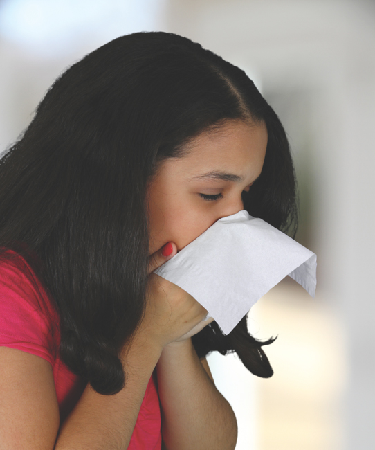 Image Credit Shutterstockcom Nobody likes having a cold It can make you - photo 2