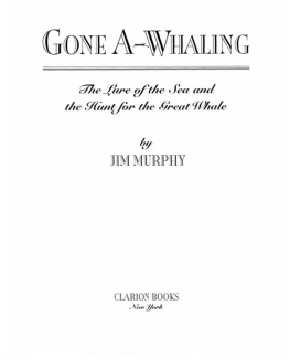 Jim Murphy Gone A-Whaling. The Lure of the Sea and the Hunt for the Great Whale