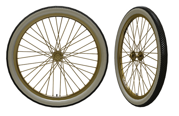 Image Credit Shutterstockcom Spokes like the ones on a bikes wheel would hold - photo 13