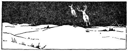 The Trail of the Sandhill Stag - image 15