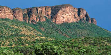 The waterhole immediately below Addos main camp top offers unmatched - photo 3