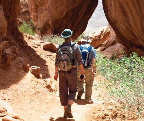 A WEEKEND Visit Zion National Park FIVE DAYS Add Bryce Canyon National Park - photo 15