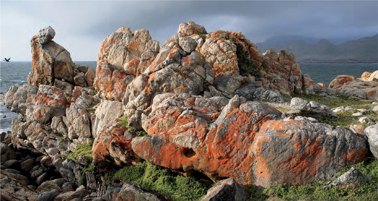 Foreword The fishermens village of Kassiesbaai part of the larger town of - photo 2