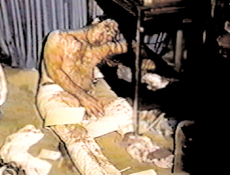 The body of Billy Deverell Joy Millers live-in boyfriend Corpse of Ron - photo 14