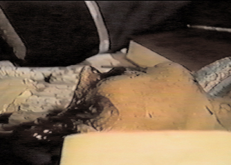 Corpse of Ron Lanius head bashed in Joy Miller bludgeoned to death in her - photo 15