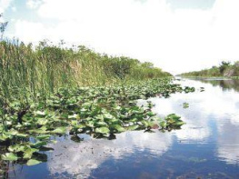 Bruce Morris Marathon & Floridas Middle Keys. Travel Adventures