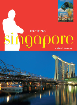 David Blocksidge - Exciting Singapore. A Visual Journey